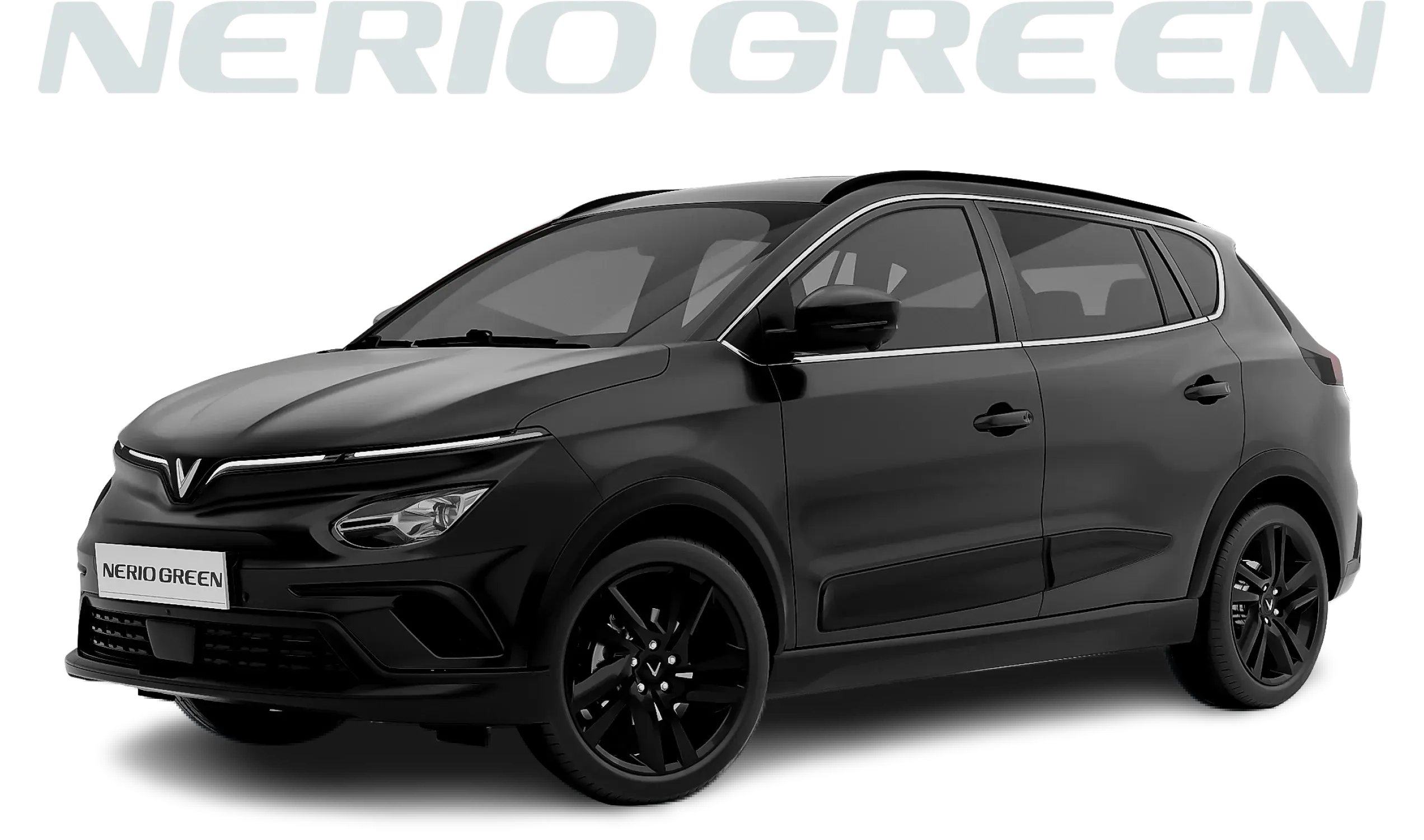 Nerio Green