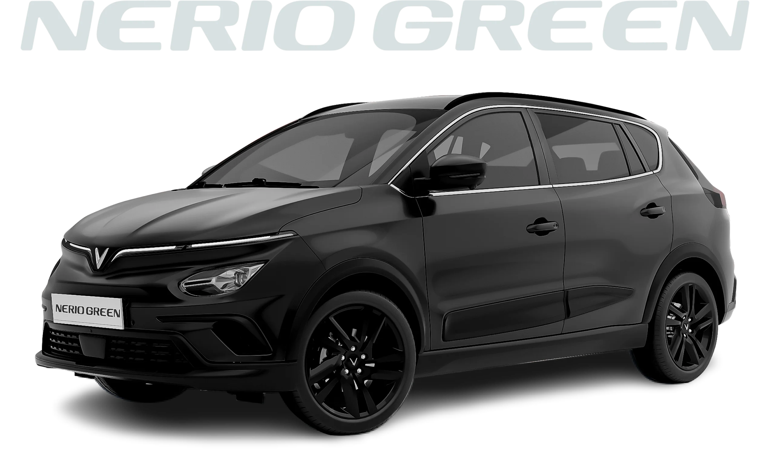 Nerio Green - hình ảnh giới thiệu
